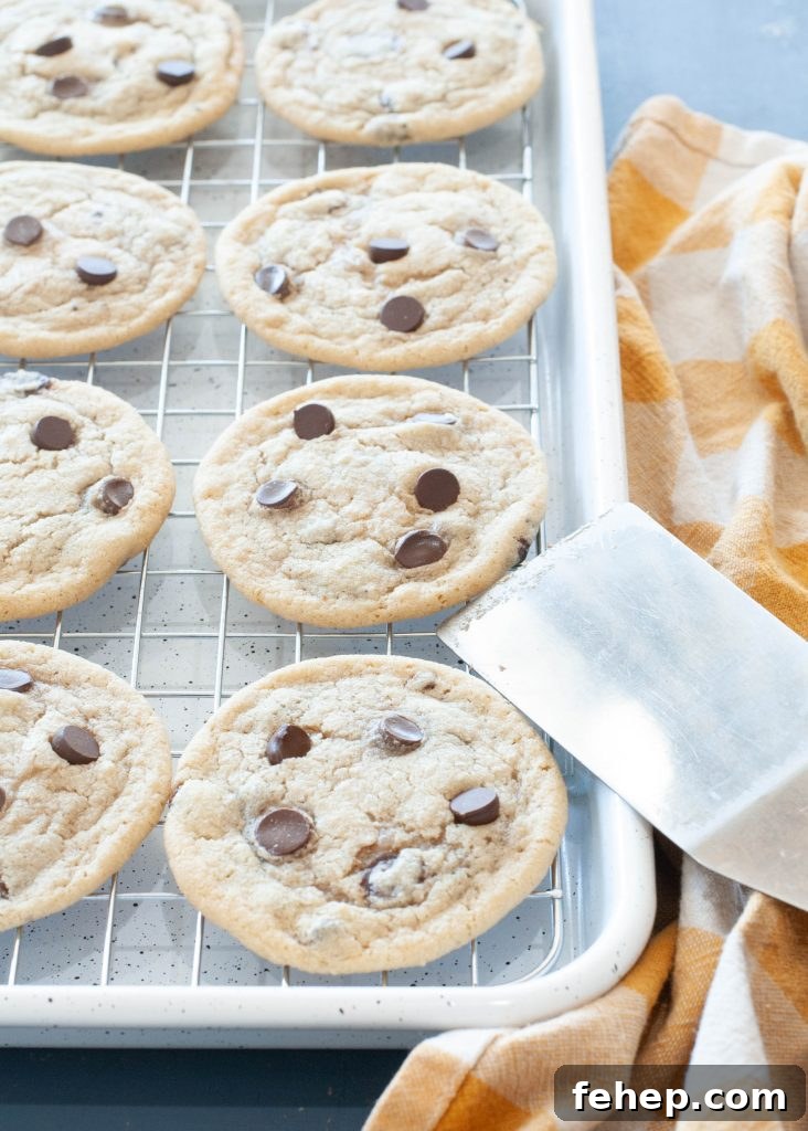 gluten-free-dairy-free-chocolate-chip-on-a-baking-sheet-shot-from-the-edge