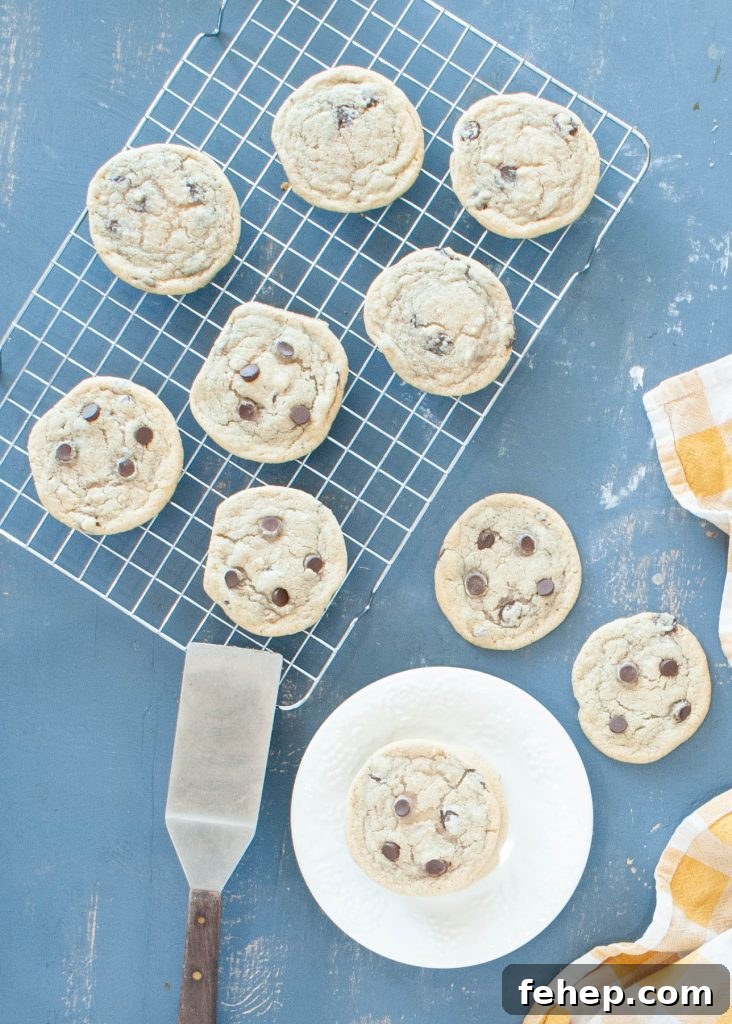 gluten-free-dairy-free-chocolate-chip-cookies-spread-out-on-a-wire-cooling-wrack-shot-from-above