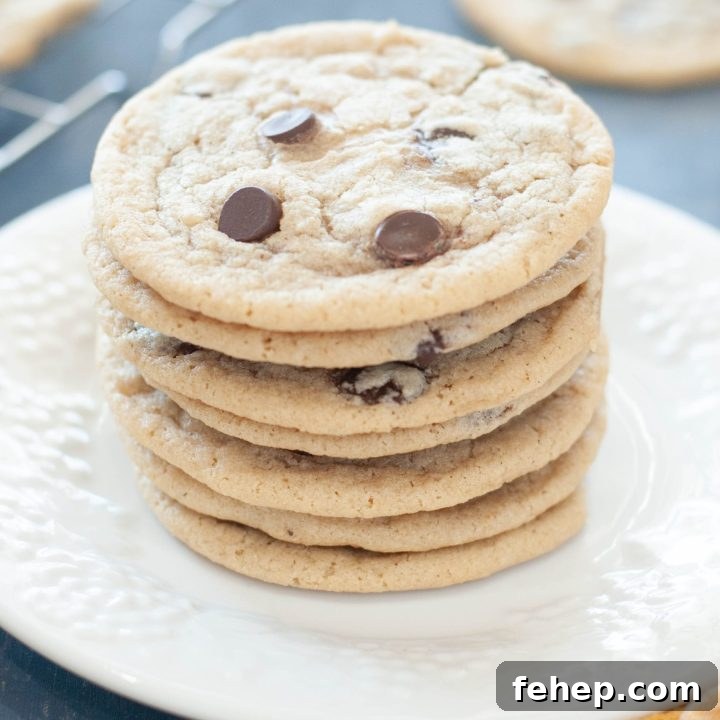 stack-of-gluten-free-dairy-free-chocolate-chip-cookies-on-a-white-plate