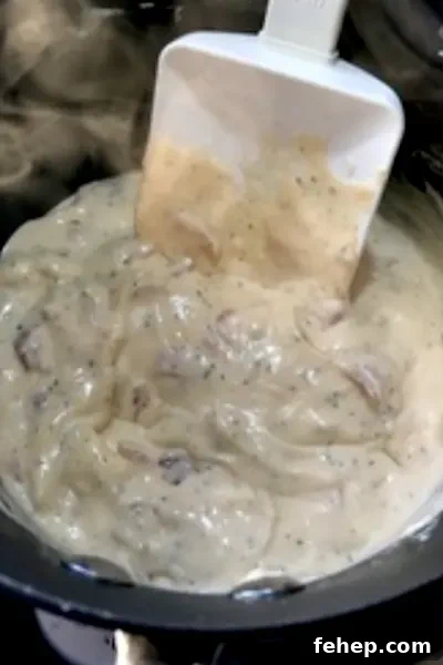 Creamy Bacon Crack Dip: Irresistible Party Appetizer Any Season 6 cooked bacon crack dip