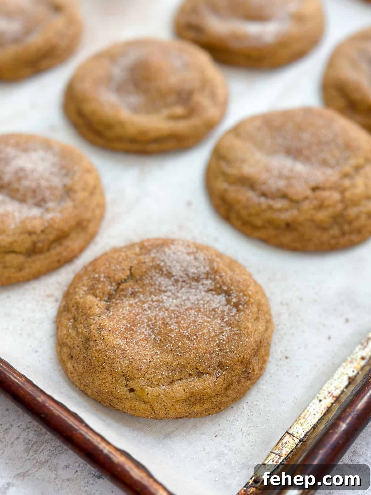 a close up of a pumpkin cheesecake snickerdoodle on a cookie sheet after baking.