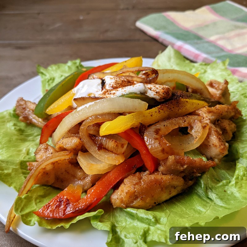 Fajitas Close Up 1200x1200