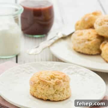 basic buttermilk scones