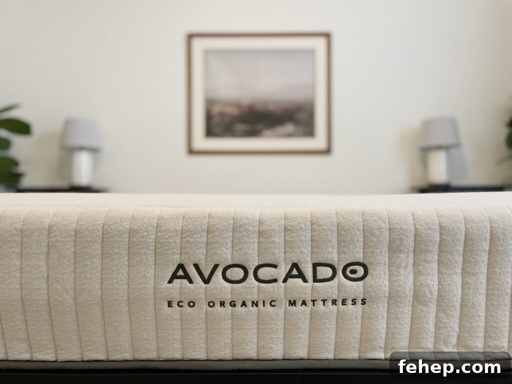 Avocado Organic Mattress Review on TheFiltery.com