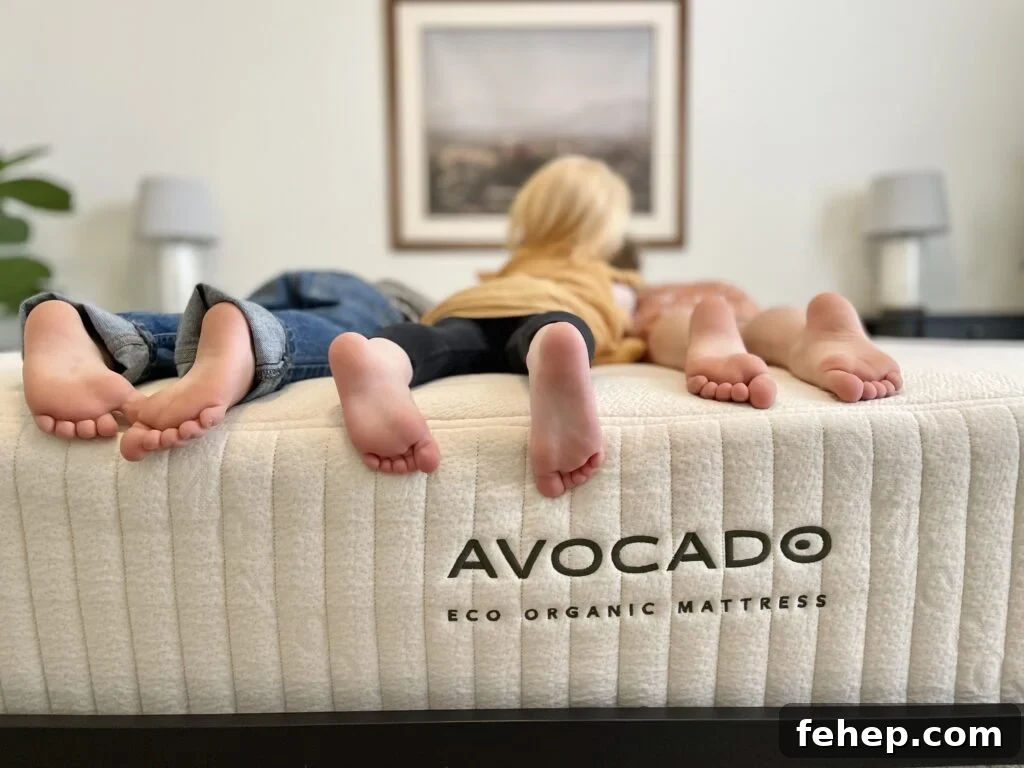 Avocado Eco Organic Mattress The Filtery