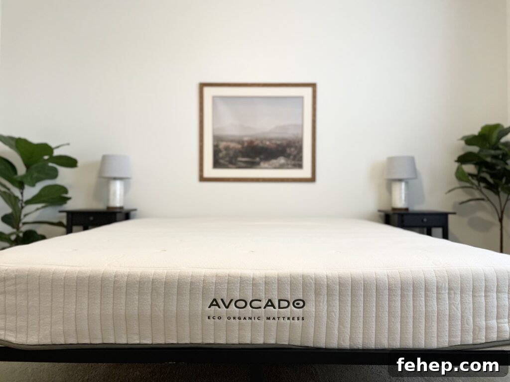 Avocado Eco Organic Mattress Review The Filtery