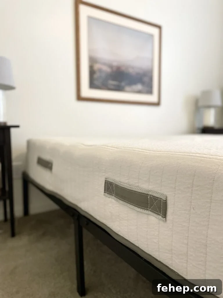 Avocado Eco Mattress Reviews on TheFiltery.com