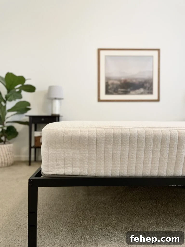 Avocado Mattress Reviews on TheFiltery.com