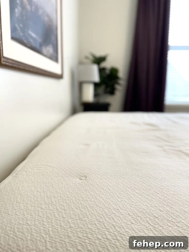 Avocado Green Mattress Review on TheFiltery.com