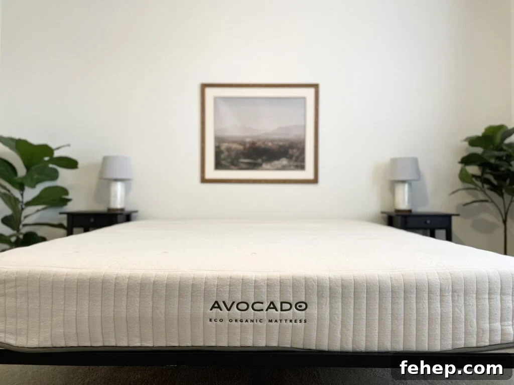 Avocado Eco Organic Mattress Review The Filtery