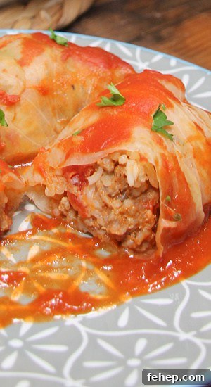 The inside cut of a wrapped and filled cabbage roll.