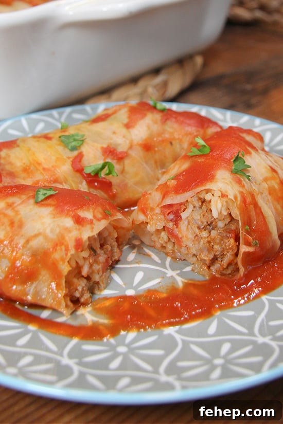 Stuffed Cabbage Rolls is a tasty meal, great as leftovers and for freezing. Cabbage-wrapped filling of ground meat, rice, and tomato sauce.