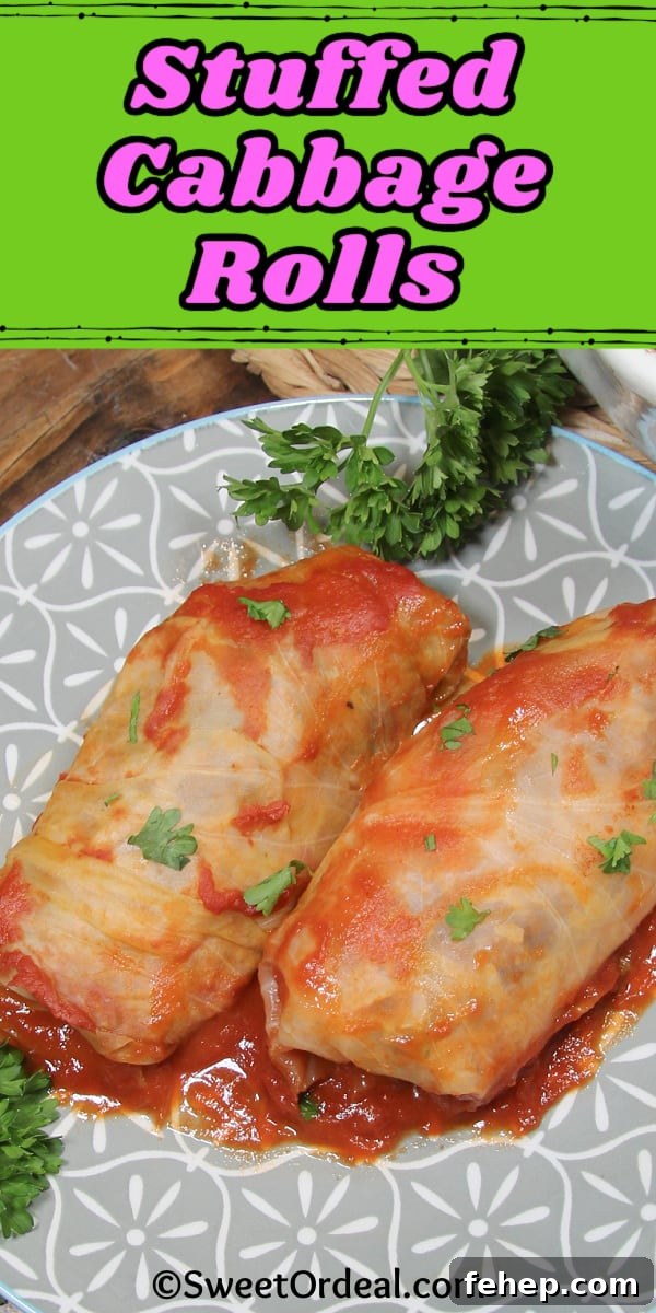 Stuffed Cabbage Rolls are the perfect dinner for a cozy night in. Two rolls filled with seasoned meat and rice, baked with a tomato sauce.