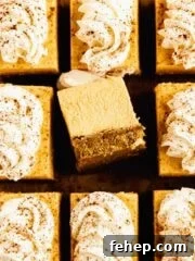 Pumpkin cheesecake bars from the top with slice turned over