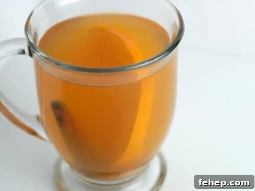 Warm Spiced Apple Cider Recipe for Cozy Fall Evenings 2 Homemade Hot Apple Cider recipe