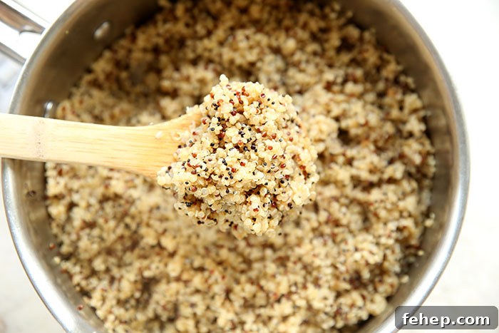 A pot of cooked quinoa with a wooden spoonful of quinoa held above.
