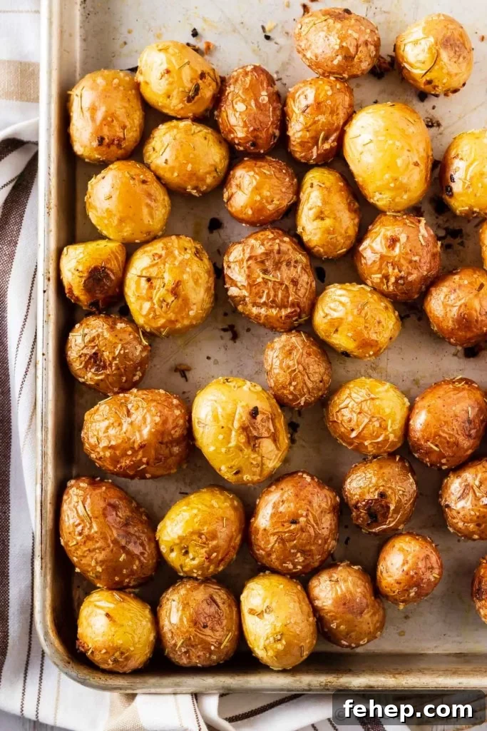 Roasted Baby Potatoes