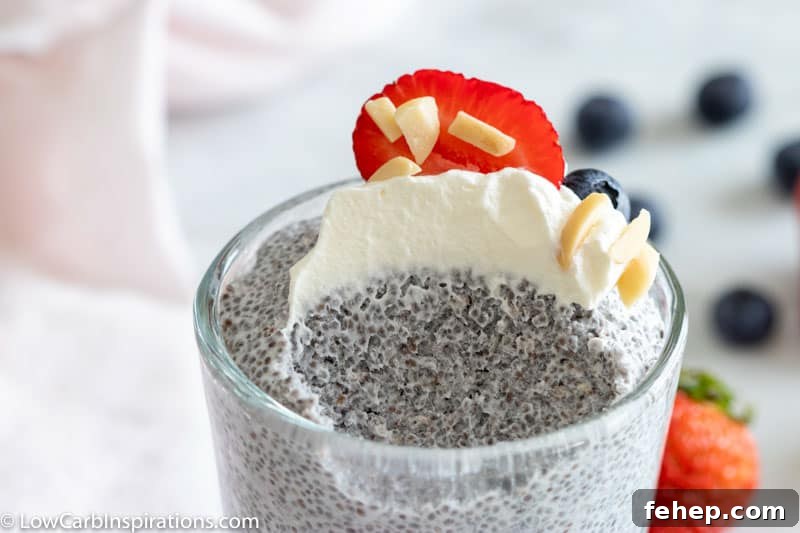 Easy Keto Chia Pudding Recipe 