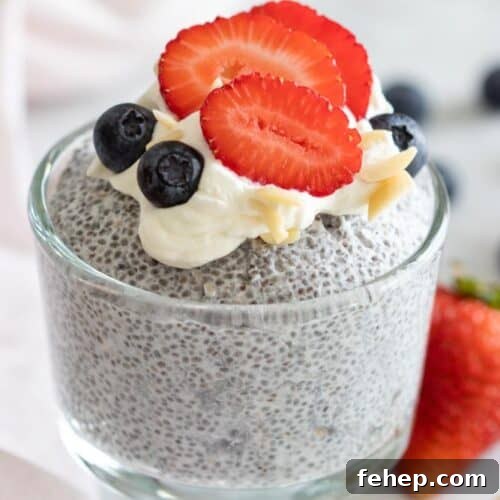 Easy Keto Chia Pudding Recipe