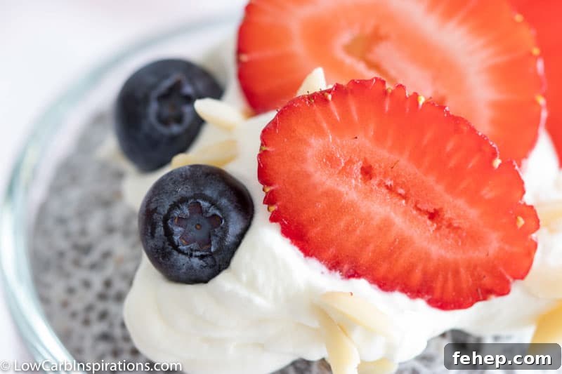 Easy Keto Chia Pudding Recipe 