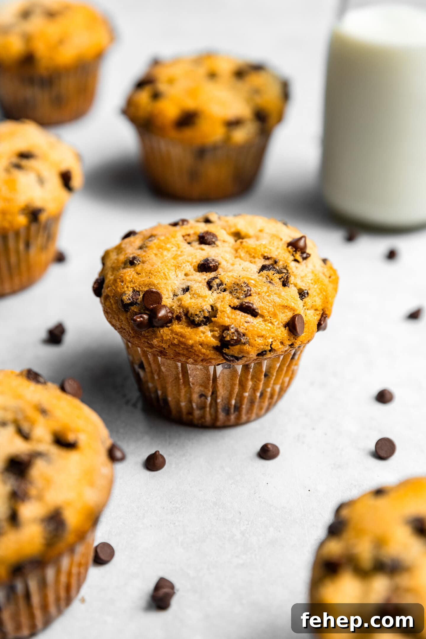 Small Batch Chocolate Chip Muffins with Sour Cream next to a glass of milk and scattered mini chocolate chips