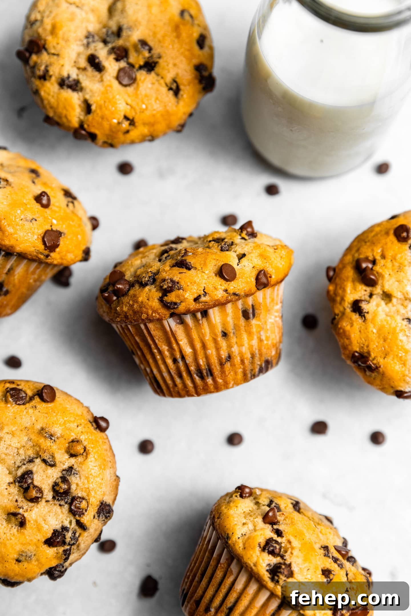 Small Batch Chocolate Chip Muffins with Sour Cream scattered next to a glass of milk.
