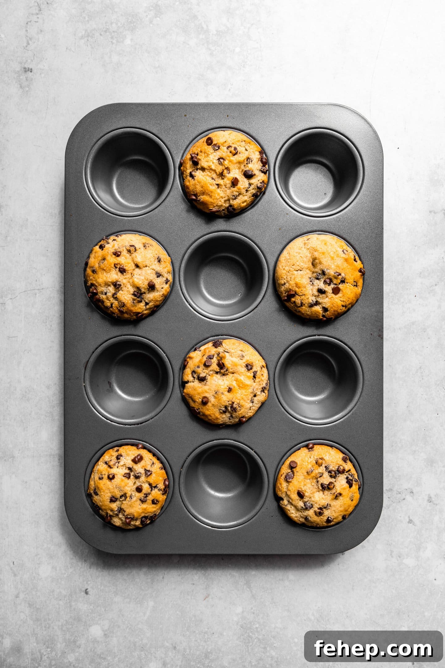 Freshly baked chocolate chip muffins with sour cream sitting in muffin pan