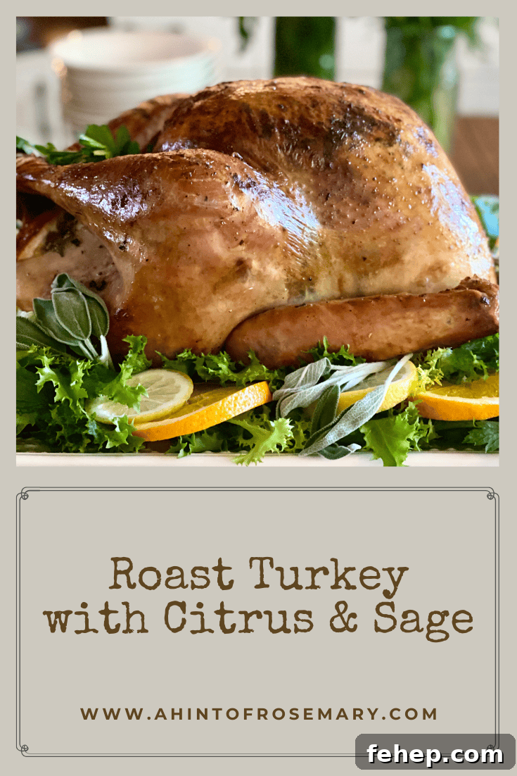 Roast Turkey with Citrus & Sage