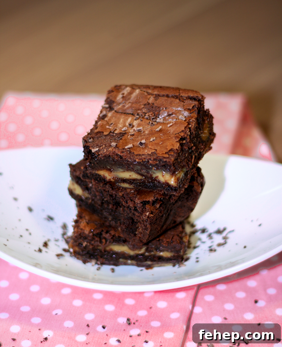 Dulce de Leche Swirl Brownies