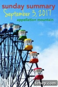 Sunday Summary 9.3.17