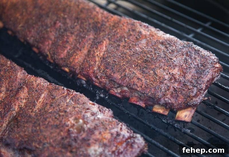 Pork Ribs on the Grill
