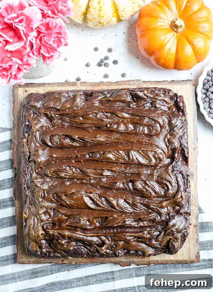 These Paleo Vegan Pumpkin Swirl Brownies are so rich, delicious, and easy to make! They are gluten free, dairy free, egg free, vegan, nut free, and naturally sweetened.