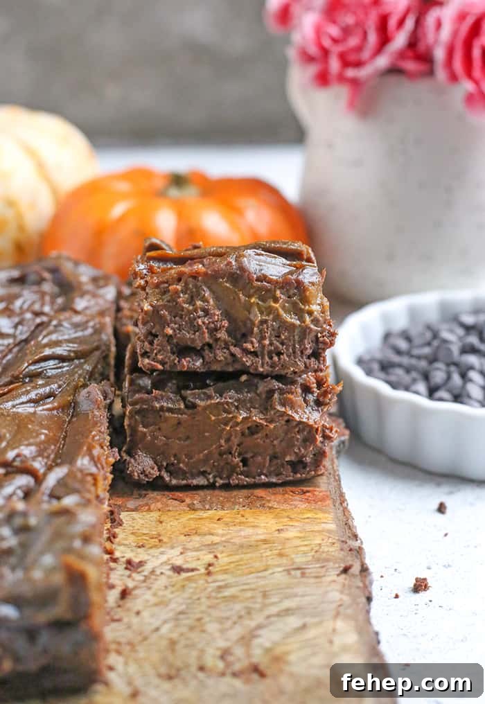 These Paleo Vegan Pumpkin Swirl Brownies are so rich, delicious, and easy to make! They are gluten free, dairy free, egg free, vegan, nut free, and naturally sweetened.