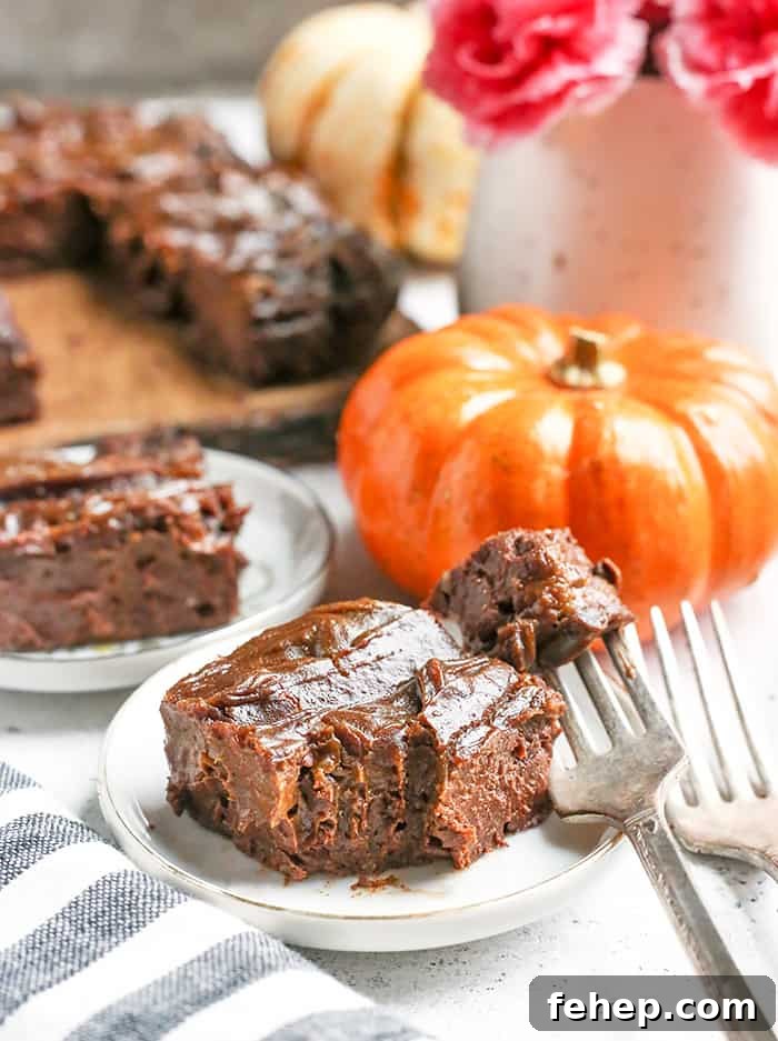 These Paleo Vegan Pumpkin Swirl Brownies are so rich, delicious, and easy to make! They are gluten free, dairy free, egg free, vegan, nut free, and naturally sweetened.