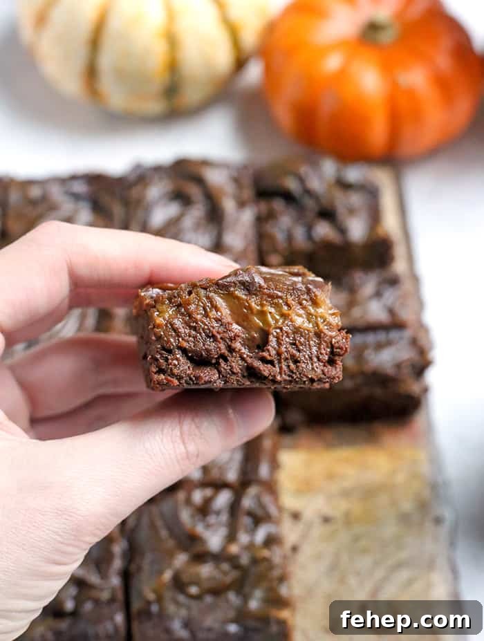 These Paleo Vegan Pumpkin Swirl Brownies are so rich, delicious, and easy to make! They are gluten free, dairy free, egg free, vegan, nut free, and naturally sweetened.