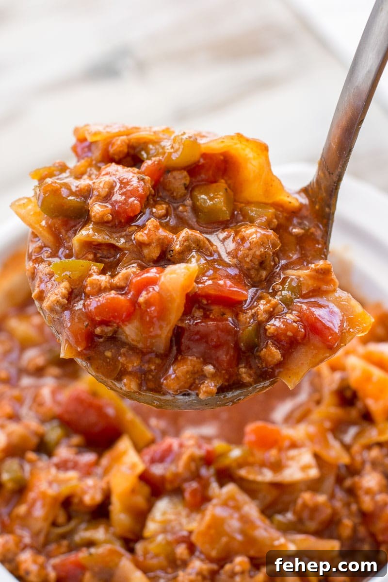 Slow Cooker Cabbage Roll Soup